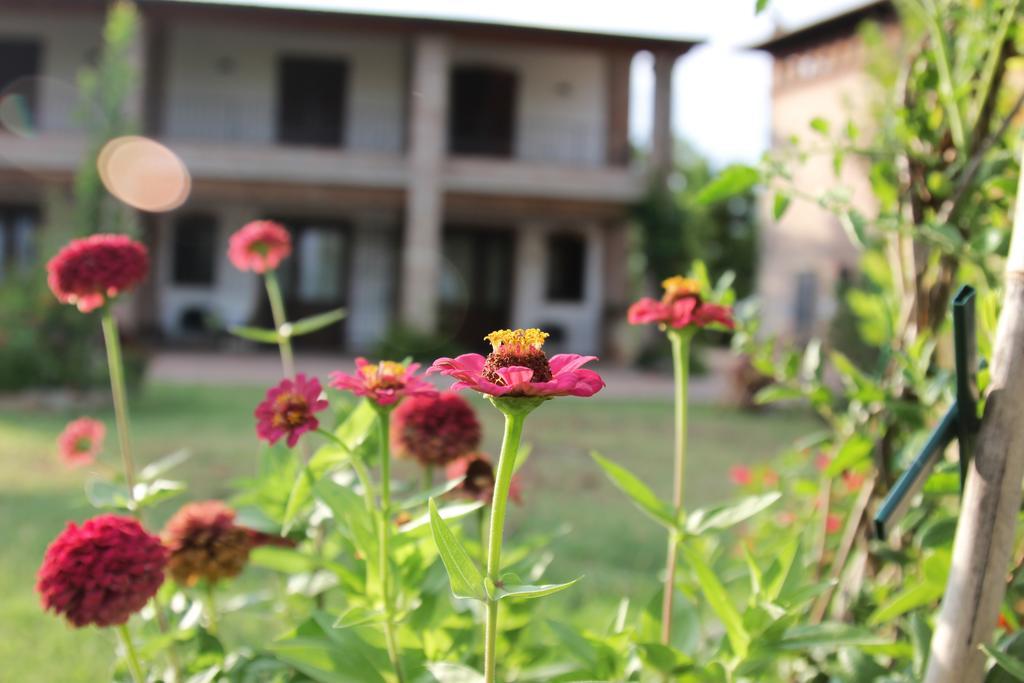 Il Ghiandolino Villa Imola Rum bild